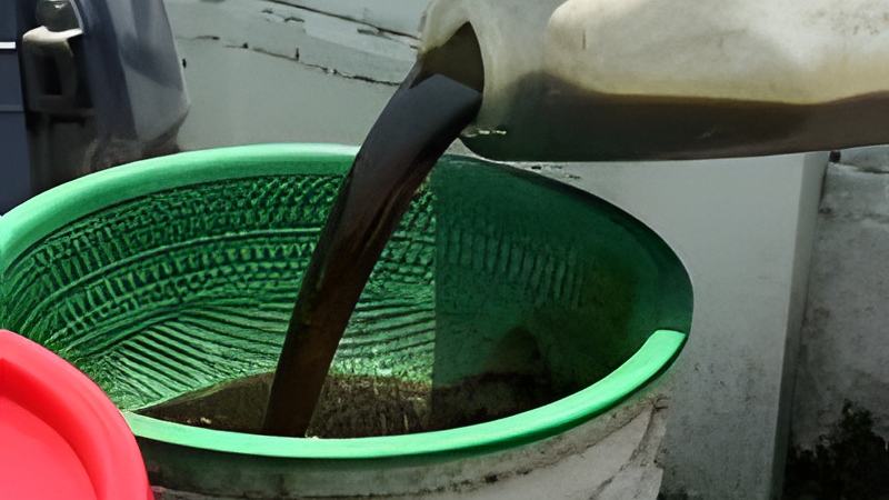 041807c.jpg