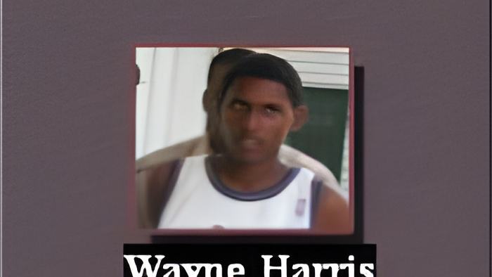 082108c.jpg