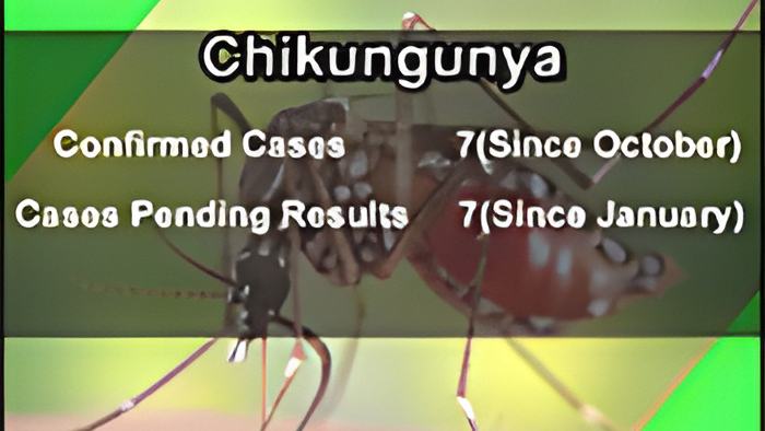 chikv30.1.15.jpg
