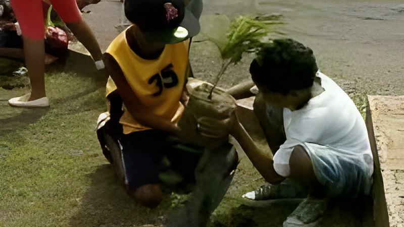 072319d.jpg