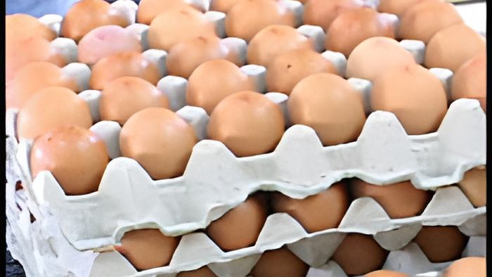 eggs11.10.13.jpg
