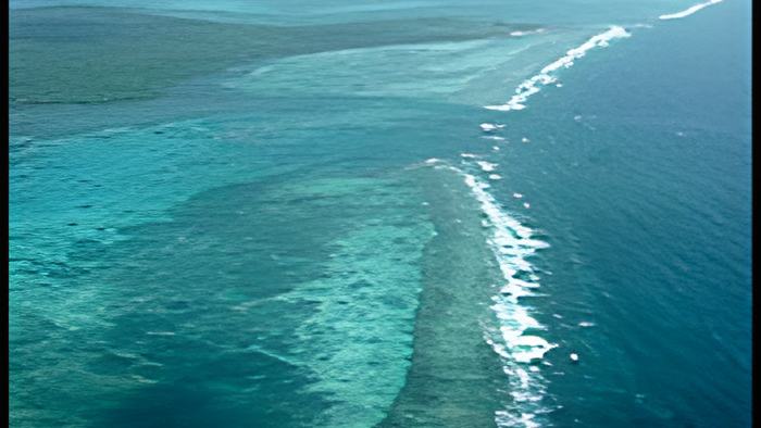 caye16.6.14.jpg