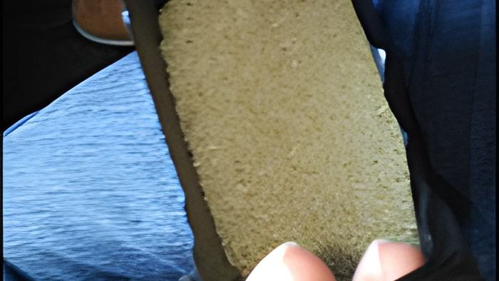 rice22.8.16.jpg