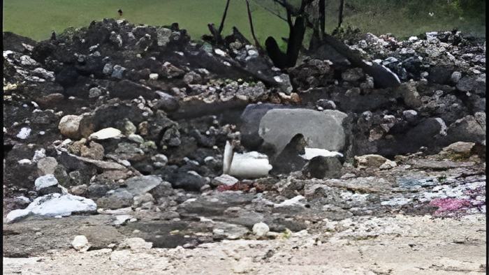 garbage11.1.jpg