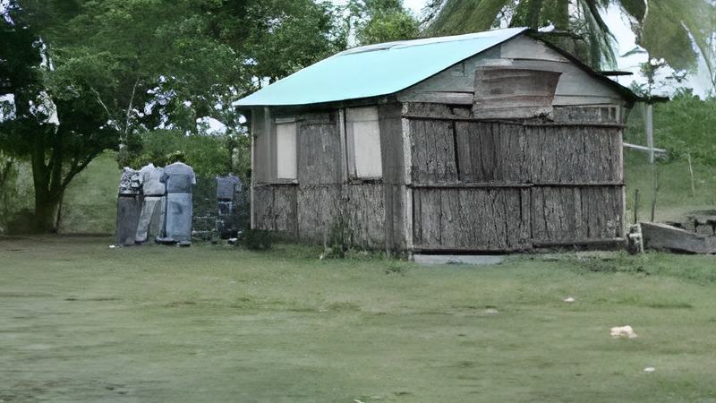 060204d.jpg