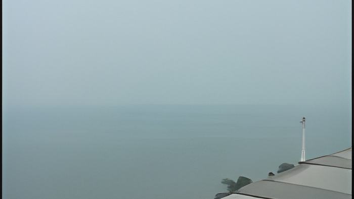 fog17.5.jpg