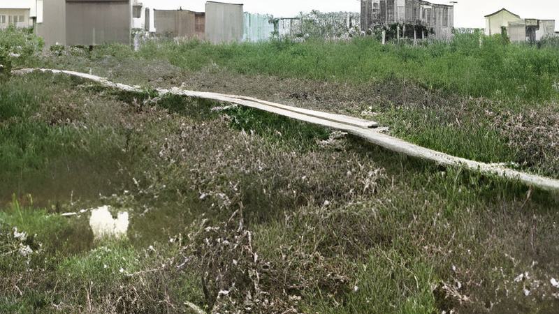 020310e.jpg