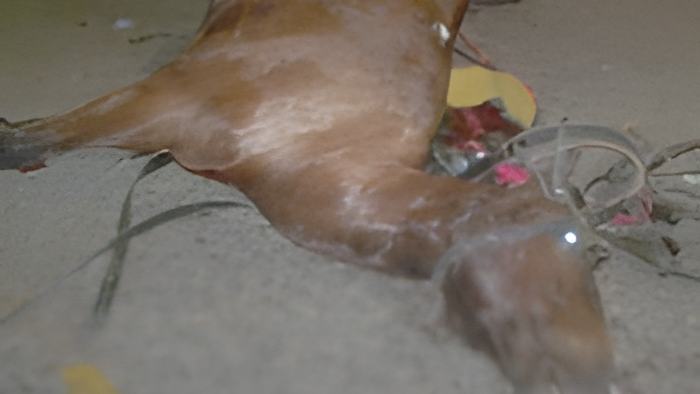 010307a.jpg