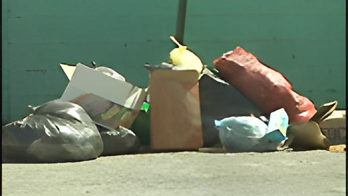 citygarbage.jpg
