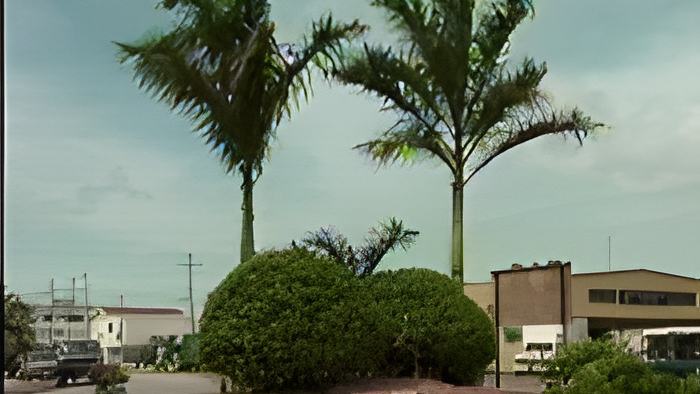 060606a.jpg