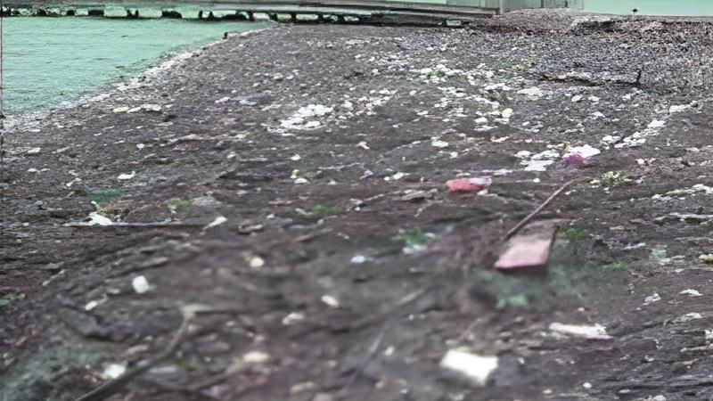 070703a.jpg
