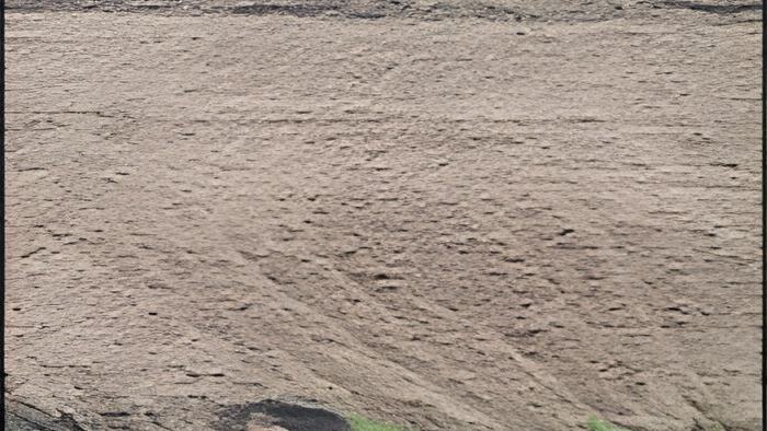 bagasse27.7.17.jpg
