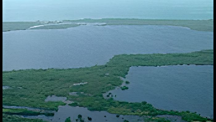 caye16.6.14a.jpg