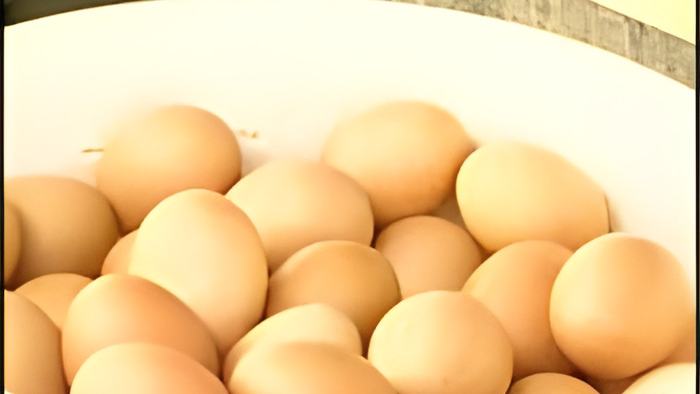 eggs1.july16.13.jpg