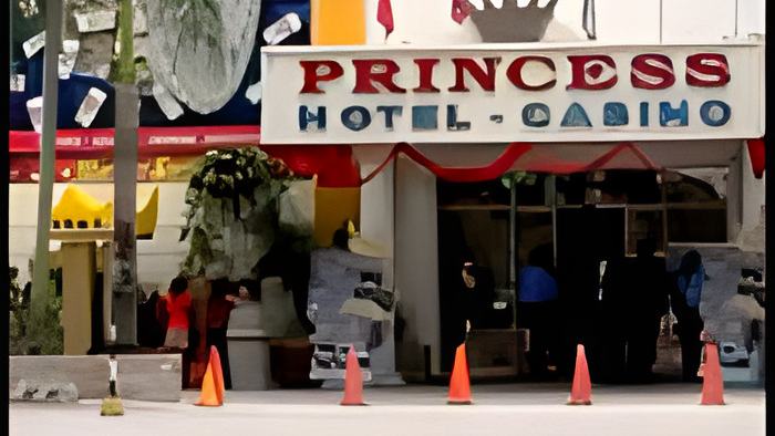 princess28.2.14.jpg