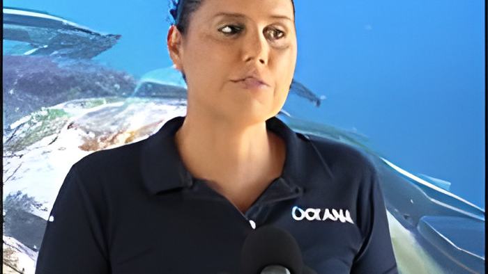 7news17.11.22janellechanona.jpg
