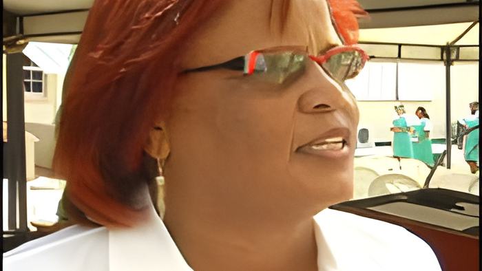 city.fair.may.7.2014.jpg
