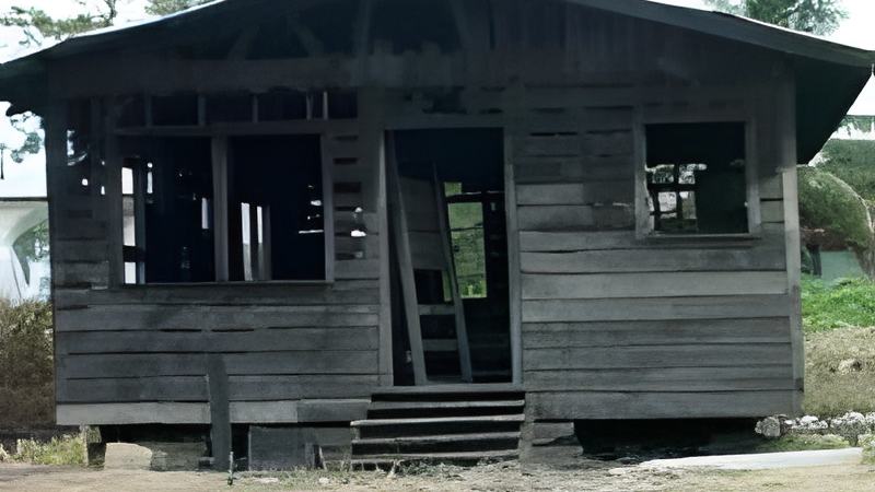 020809e.jpg
