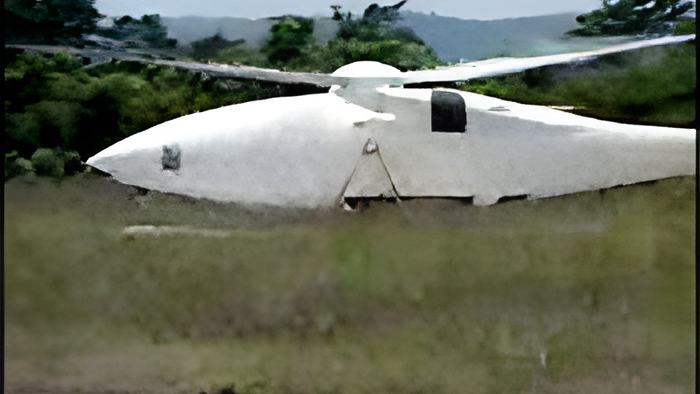 chopper.jpg