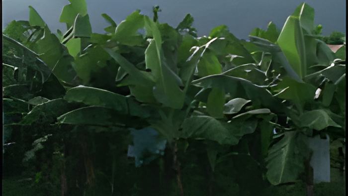farm.sept30.2015.jpg