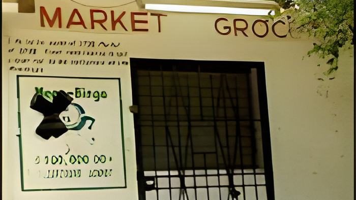 groceryshop.june24.13.jpg
