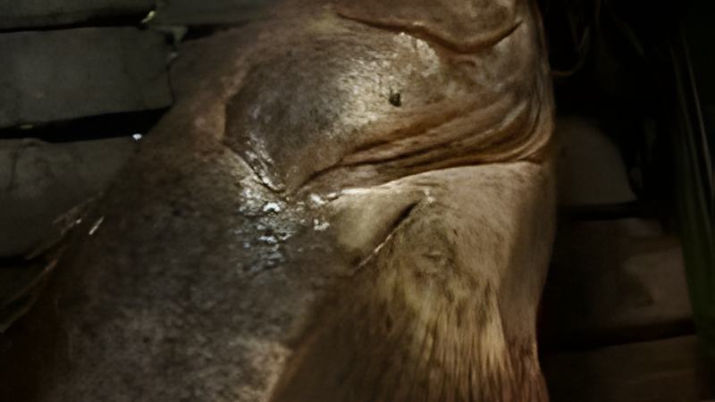 032607d.jpg