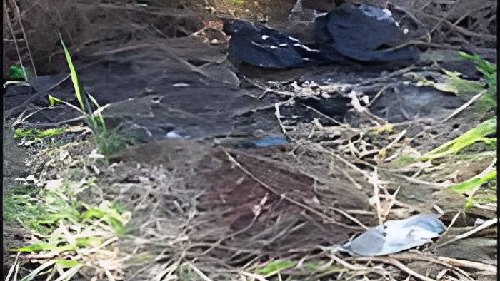 body9.12.11.jpg