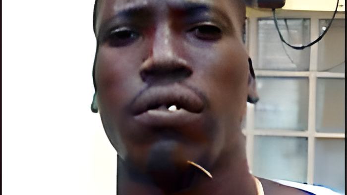 garnett24.5a.jpg