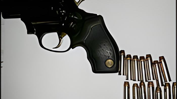 gun23.2.17.jpg