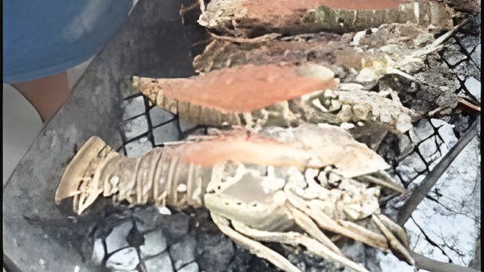 lobster15.2.jpg