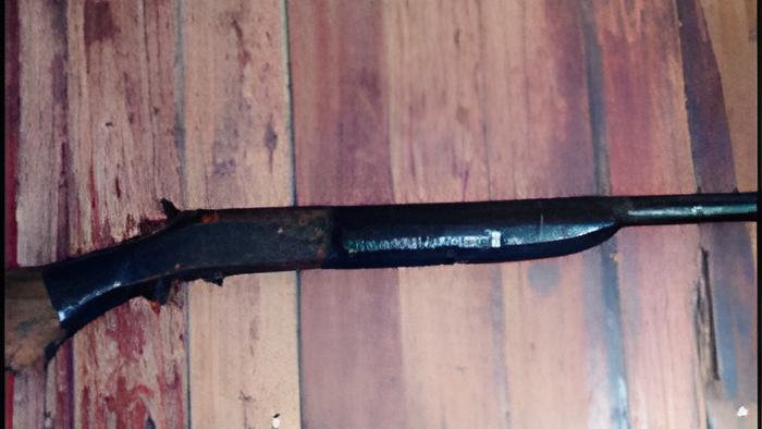 gun23.8.12.jpg