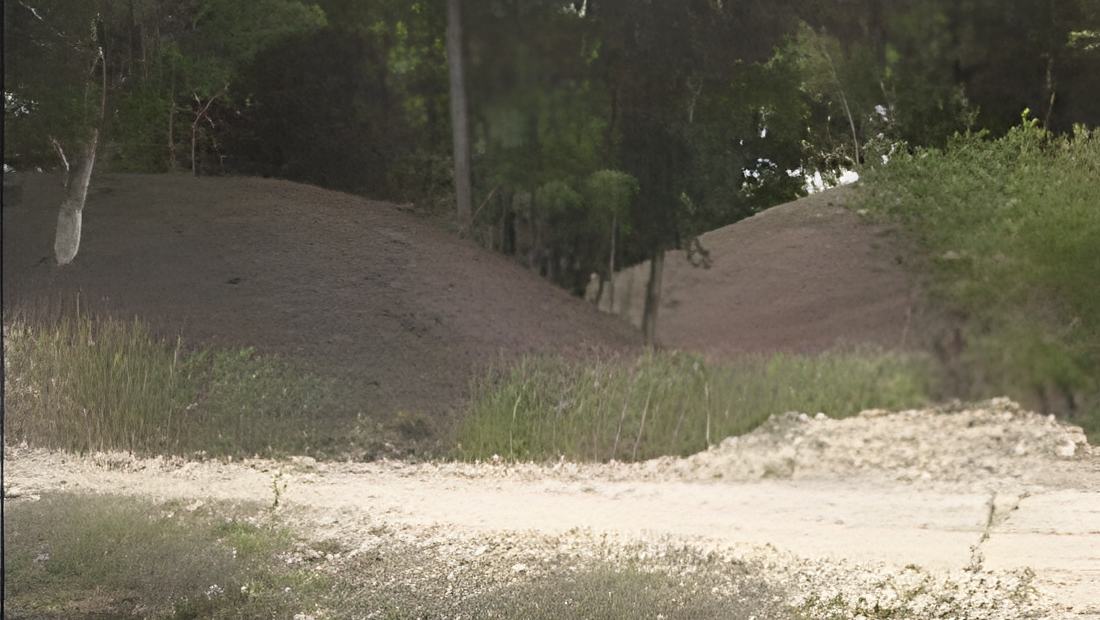 022003b.jpg