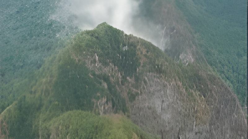 042402d.jpg