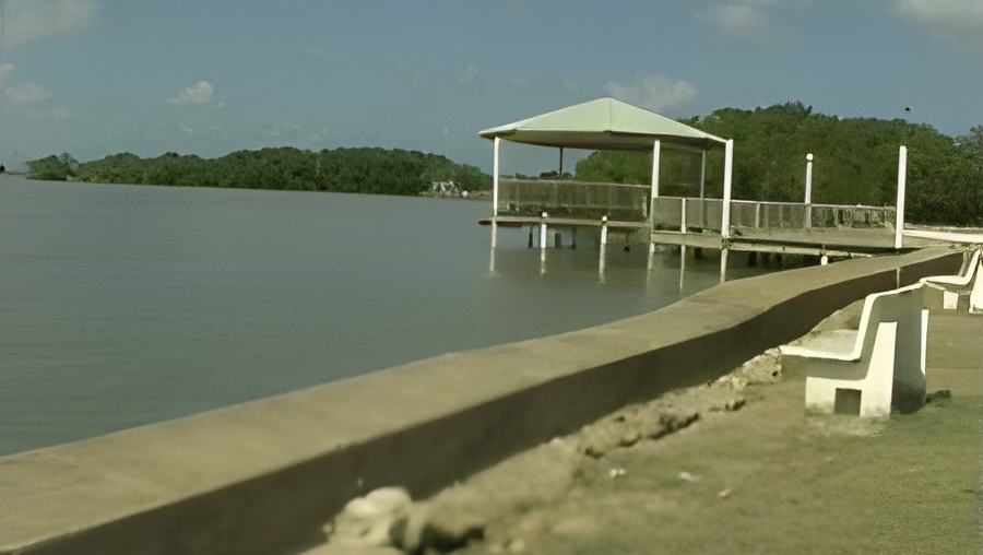 052005b.jpg