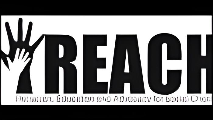 reachlogo.may30.13.jpg