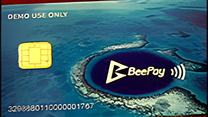 bee2.10.15a.jpg