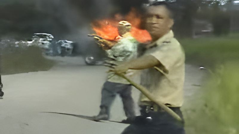 020405d.jpg