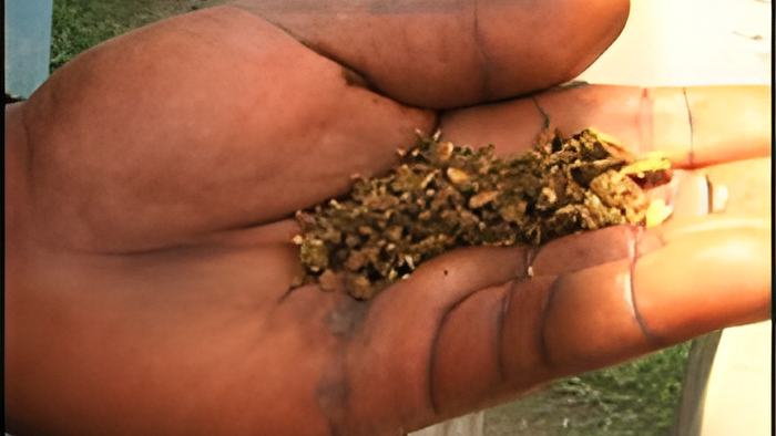 weed2.march18.2015.jpg