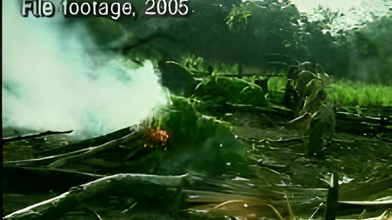 020808e.jpg