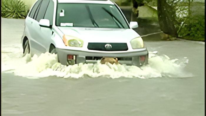 7news3.7.24a4.jpg
