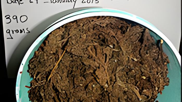 weed26.1.15.jpg