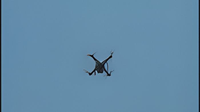 drone.april20.2016.jpg