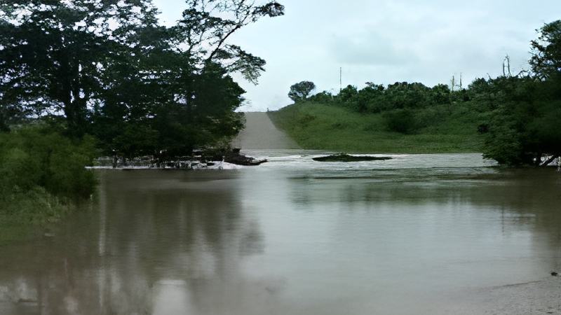 072712d.jpg