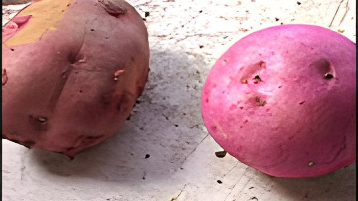 potato6.2.15.jpg