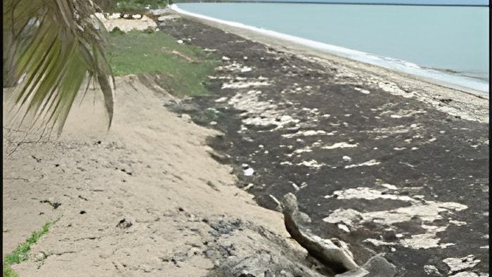 beach22.6.18.jpg