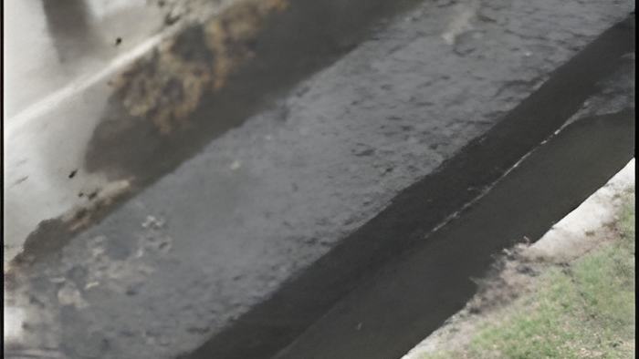 crocdrain.may23.13.jpg