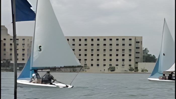 sail8.3.jpg