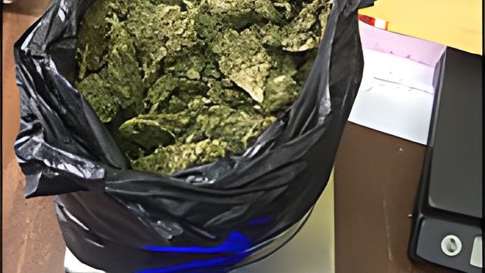 weed15.9.17.jpg