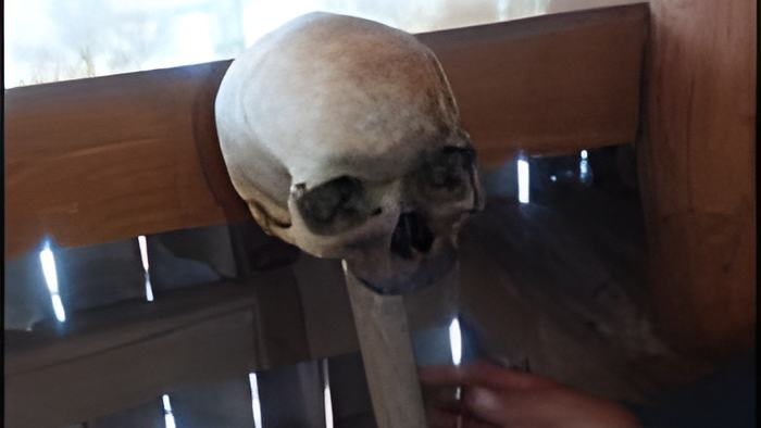 skull.manrch15.19.jpg