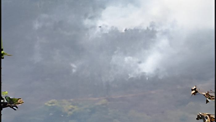 fires12.5.jpg